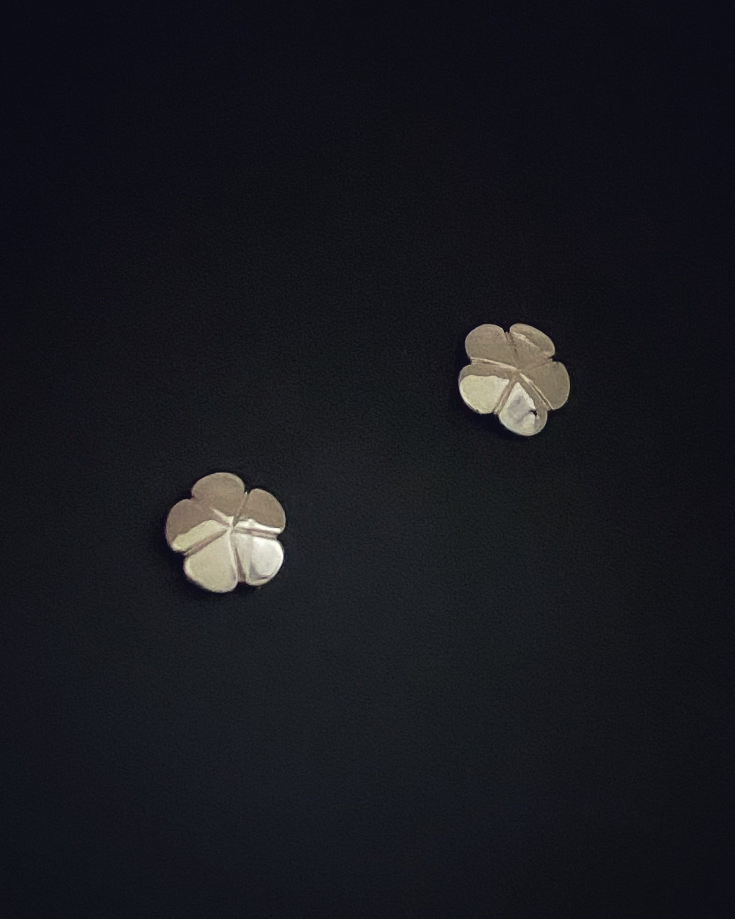 Clove Flower Silver Top Earrings